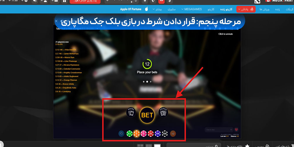 قرار دادن شرط در بازی بلک‌ جک مگاپاری